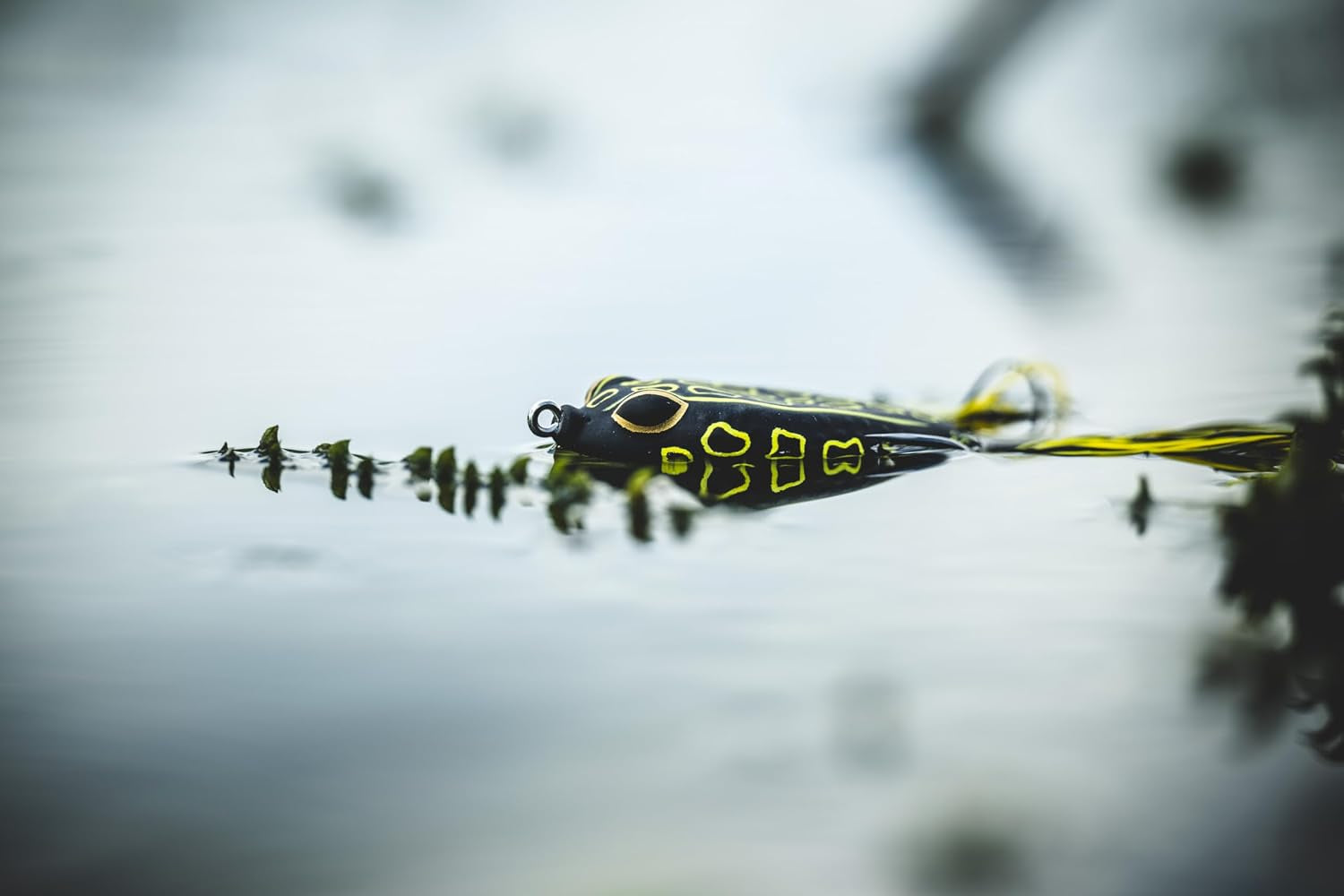 Berkley Swamp Lord Hollow Body Frog Fishing Bait