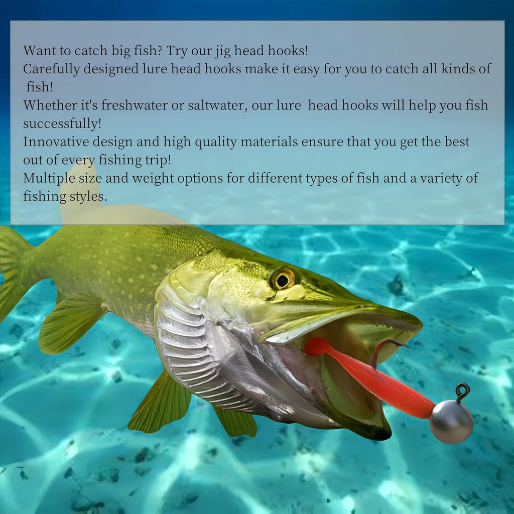 Jigköpfe Angelhaken-Kit Softbait-Haken 3,5 G 5 G 7 G 10 G 14 G Inklusive Plastik Angelgerät Box Angeln Für Süßwasser Salzwasser