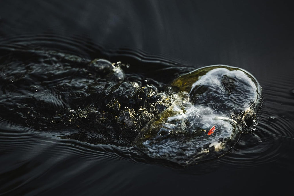 Berkley Swamp Lord Hollow Body Frog Fishing Bait