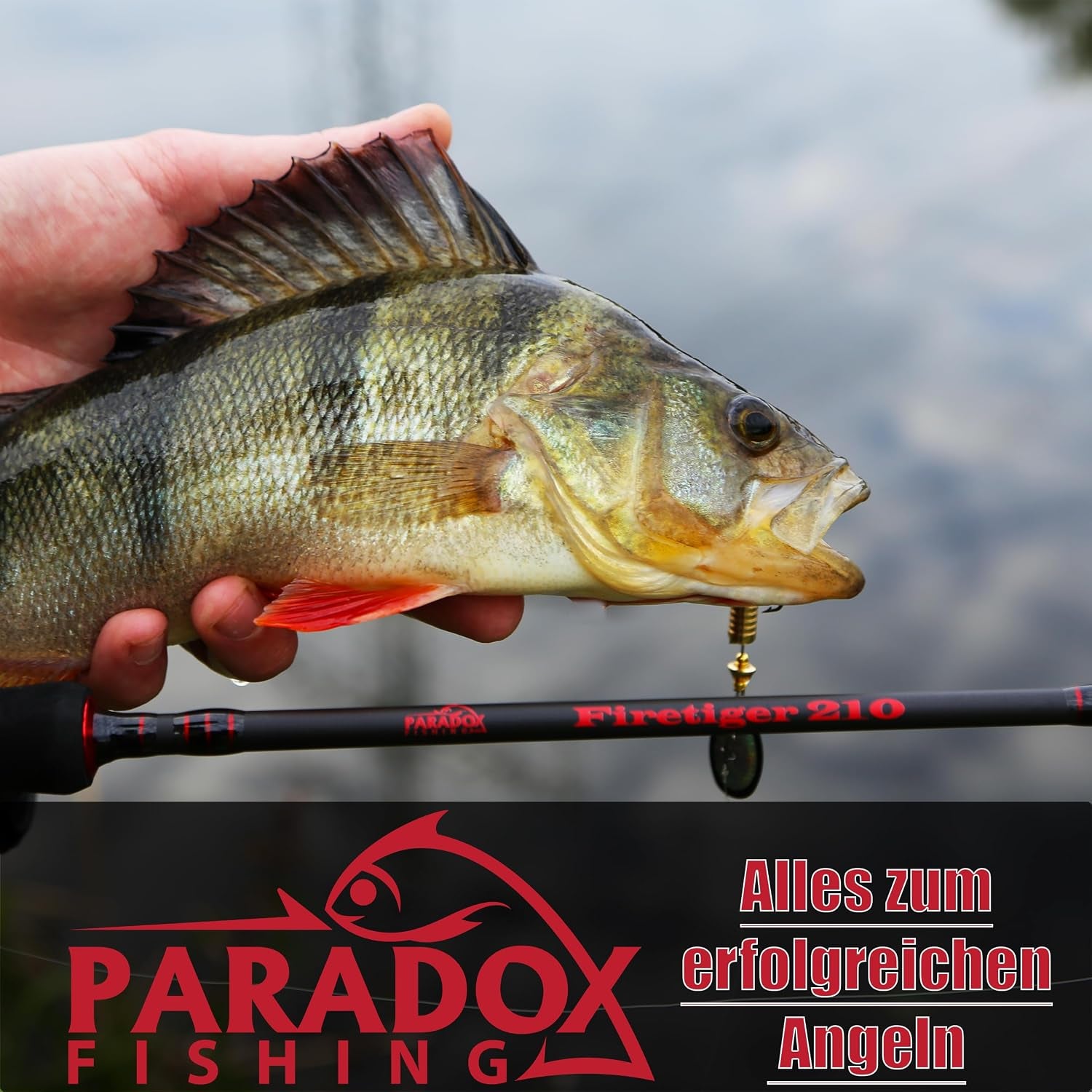 Paradox Fishing Jigköpfe Sets 2/0 3/0 4/0 5-28G - 15/25 St. - Jig Köpfe Gummifisch Mit Jighead Für Gummifische Zander Angelzubehör